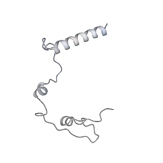 11397_6zsg_l_v1-0
Human mitochondrial ribosome in complex with mRNA, A-site tRNA, P-site tRNA and E-site tRNA
