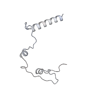 11397_6zsg_l_v2-0
Human mitochondrial ribosome in complex with mRNA, A-site tRNA, P-site tRNA and E-site tRNA