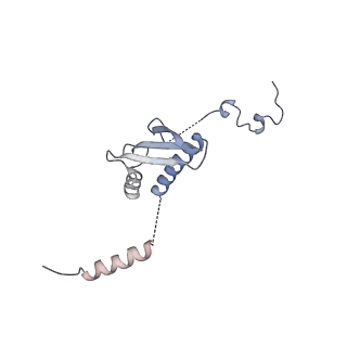11397_6zsg_p_v1-0
Human mitochondrial ribosome in complex with mRNA, A-site tRNA, P-site tRNA and E-site tRNA