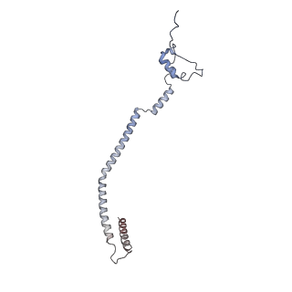 11397_6zsg_q_v1-0
Human mitochondrial ribosome in complex with mRNA, A-site tRNA, P-site tRNA and E-site tRNA