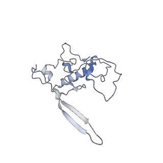 11397_6zsg_r_v1-0
Human mitochondrial ribosome in complex with mRNA, A-site tRNA, P-site tRNA and E-site tRNA