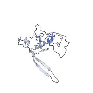 11397_6zsg_r_v2-0
Human mitochondrial ribosome in complex with mRNA, A-site tRNA, P-site tRNA and E-site tRNA