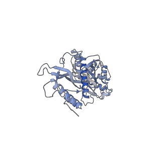 11397_6zsg_s_v1-0
Human mitochondrial ribosome in complex with mRNA, A-site tRNA, P-site tRNA and E-site tRNA