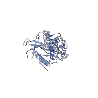 11397_6zsg_s_v2-0
Human mitochondrial ribosome in complex with mRNA, A-site tRNA, P-site tRNA and E-site tRNA