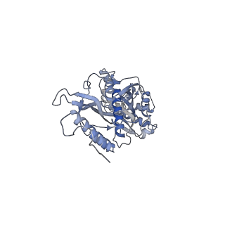 11397_6zsg_s_v3-0
Human mitochondrial ribosome in complex with mRNA, A-site tRNA, P-site tRNA and E-site tRNA