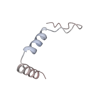 11397_6zsg_t1_v1-0
Human mitochondrial ribosome in complex with mRNA, A-site tRNA, P-site tRNA and E-site tRNA