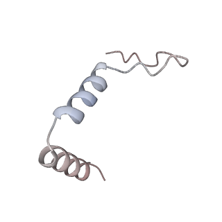 11397_6zsg_t1_v3-0
Human mitochondrial ribosome in complex with mRNA, A-site tRNA, P-site tRNA and E-site tRNA