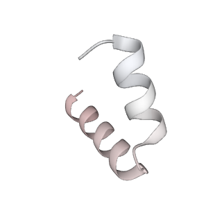11397_6zsg_t5_v1-0
Human mitochondrial ribosome in complex with mRNA, A-site tRNA, P-site tRNA and E-site tRNA