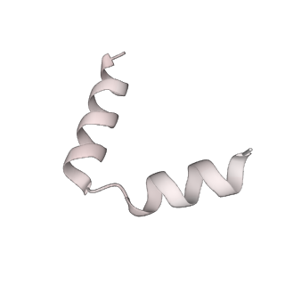 11397_6zsg_t6_v1-0
Human mitochondrial ribosome in complex with mRNA, A-site tRNA, P-site tRNA and E-site tRNA