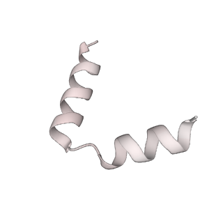 11397_6zsg_t6_v2-0
Human mitochondrial ribosome in complex with mRNA, A-site tRNA, P-site tRNA and E-site tRNA