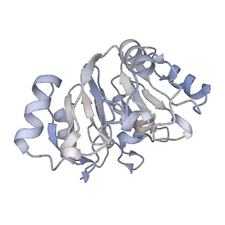 14926_7zs5_A_v1-1
Structure of 60S ribosomal subunit from S. cerevisiae with eIF6 and tRNA