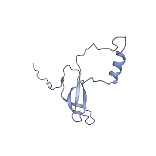 14926_7zs5_BA_v1-1
Structure of 60S ribosomal subunit from S. cerevisiae with eIF6 and tRNA