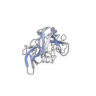14926_7zs5_BC_v1-1
Structure of 60S ribosomal subunit from S. cerevisiae with eIF6 and tRNA