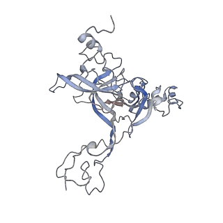 14926_7zs5_BD_v1-1
Structure of 60S ribosomal subunit from S. cerevisiae with eIF6 and tRNA