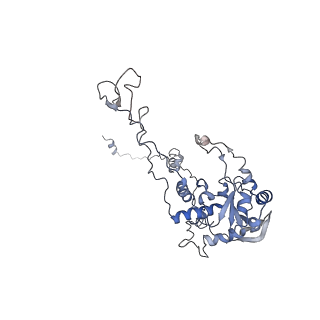 14926_7zs5_BE_v1-1
Structure of 60S ribosomal subunit from S. cerevisiae with eIF6 and tRNA