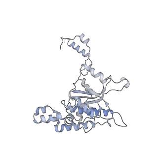 14926_7zs5_BF_v1-1
Structure of 60S ribosomal subunit from S. cerevisiae with eIF6 and tRNA