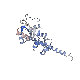 14926_7zs5_BH_v1-1
Structure of 60S ribosomal subunit from S. cerevisiae with eIF6 and tRNA