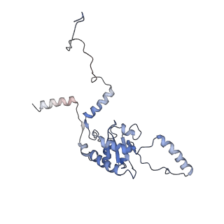 14926_7zs5_BI_v1-1
Structure of 60S ribosomal subunit from S. cerevisiae with eIF6 and tRNA