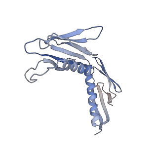 14926_7zs5_BJ_v1-1
Structure of 60S ribosomal subunit from S. cerevisiae with eIF6 and tRNA