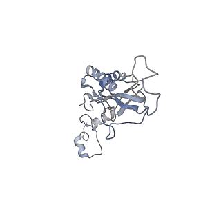 14926_7zs5_BK_v1-1
Structure of 60S ribosomal subunit from S. cerevisiae with eIF6 and tRNA