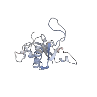 14926_7zs5_BL_v1-1
Structure of 60S ribosomal subunit from S. cerevisiae with eIF6 and tRNA
