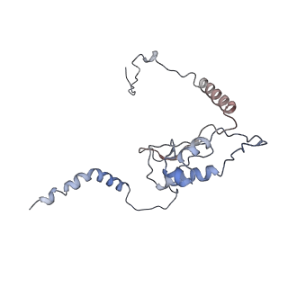 14926_7zs5_BM_v1-1
Structure of 60S ribosomal subunit from S. cerevisiae with eIF6 and tRNA