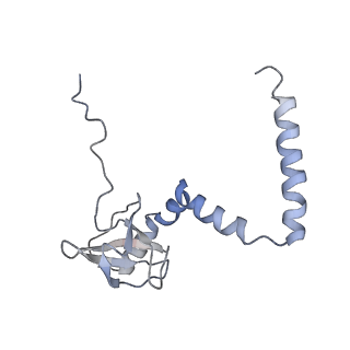 14926_7zs5_BN_v1-1
Structure of 60S ribosomal subunit from S. cerevisiae with eIF6 and tRNA
