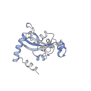 14926_7zs5_BO_v1-1
Structure of 60S ribosomal subunit from S. cerevisiae with eIF6 and tRNA