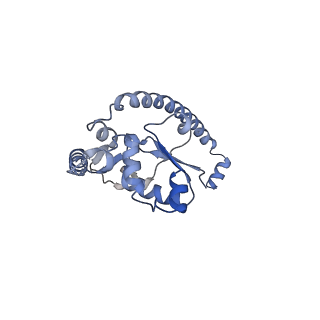14926_7zs5_BP_v1-1
Structure of 60S ribosomal subunit from S. cerevisiae with eIF6 and tRNA