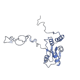 14926_7zs5_BR_v1-1
Structure of 60S ribosomal subunit from S. cerevisiae with eIF6 and tRNA