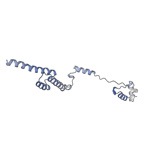 14926_7zs5_BS_v1-1
Structure of 60S ribosomal subunit from S. cerevisiae with eIF6 and tRNA