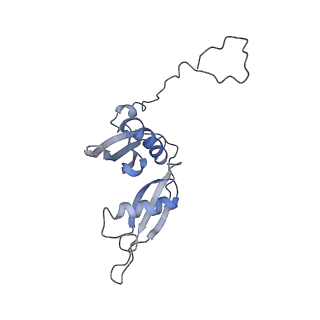 14926_7zs5_BT_v1-1
Structure of 60S ribosomal subunit from S. cerevisiae with eIF6 and tRNA