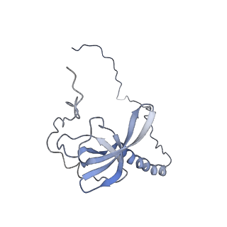 14926_7zs5_BU_v1-1
Structure of 60S ribosomal subunit from S. cerevisiae with eIF6 and tRNA