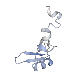 14926_7zs5_BX_v1-1
Structure of 60S ribosomal subunit from S. cerevisiae with eIF6 and tRNA