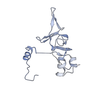 14926_7zs5_BZ_v1-1
Structure of 60S ribosomal subunit from S. cerevisiae with eIF6 and tRNA