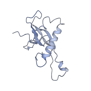 14926_7zs5_Ba_v1-1
Structure of 60S ribosomal subunit from S. cerevisiae with eIF6 and tRNA
