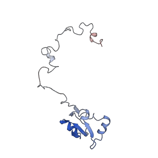 14926_7zs5_Bb_v1-1
Structure of 60S ribosomal subunit from S. cerevisiae with eIF6 and tRNA