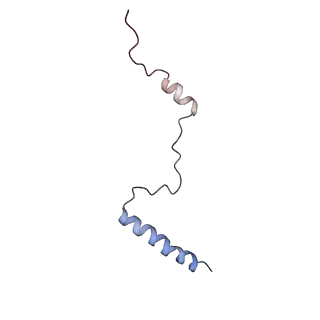 14926_7zs5_Bc_v1-1
Structure of 60S ribosomal subunit from S. cerevisiae with eIF6 and tRNA