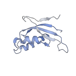 14926_7zs5_Be_v1-1
Structure of 60S ribosomal subunit from S. cerevisiae with eIF6 and tRNA