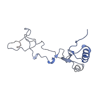 14926_7zs5_Bf_v1-1
Structure of 60S ribosomal subunit from S. cerevisiae with eIF6 and tRNA