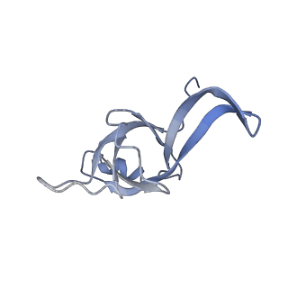 14926_7zs5_Bg_v1-1
Structure of 60S ribosomal subunit from S. cerevisiae with eIF6 and tRNA