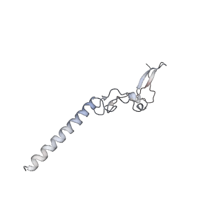 14926_7zs5_Bh_v1-1
Structure of 60S ribosomal subunit from S. cerevisiae with eIF6 and tRNA