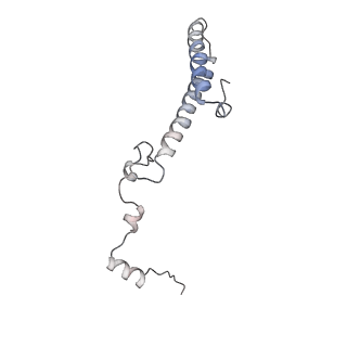 14926_7zs5_Bi_v1-1
Structure of 60S ribosomal subunit from S. cerevisiae with eIF6 and tRNA