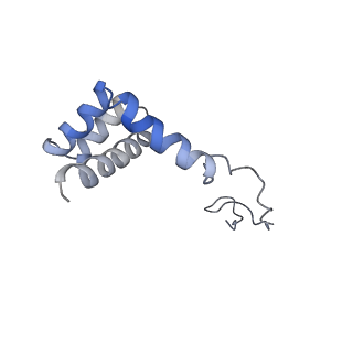 14926_7zs5_Bj_v1-1
Structure of 60S ribosomal subunit from S. cerevisiae with eIF6 and tRNA