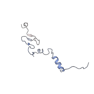 14926_7zs5_Bk_v1-1
Structure of 60S ribosomal subunit from S. cerevisiae with eIF6 and tRNA