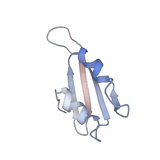 14926_7zs5_Bl_v1-1
Structure of 60S ribosomal subunit from S. cerevisiae with eIF6 and tRNA