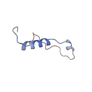 14926_7zs5_Bm_v1-1
Structure of 60S ribosomal subunit from S. cerevisiae with eIF6 and tRNA