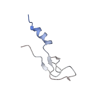 14926_7zs5_Bn_v1-1
Structure of 60S ribosomal subunit from S. cerevisiae with eIF6 and tRNA