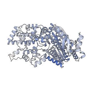 14927_7zs9_0_v1-2
Yeast RNA polymerase II transcription pre-initiation complex with the +1 nucleosome (complex A)