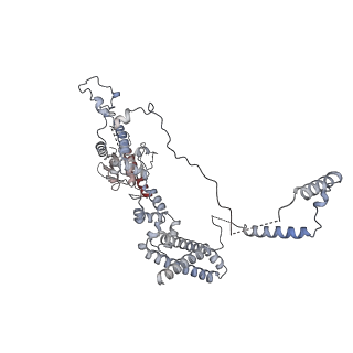 14927_7zs9_1_v1-2
Yeast RNA polymerase II transcription pre-initiation complex with the +1 nucleosome (complex A)